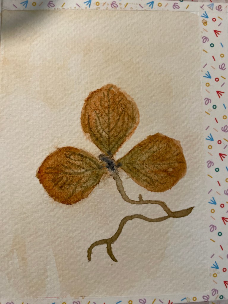 A close-up of a three-leafed hydrangea flower that's dried and dead for winter